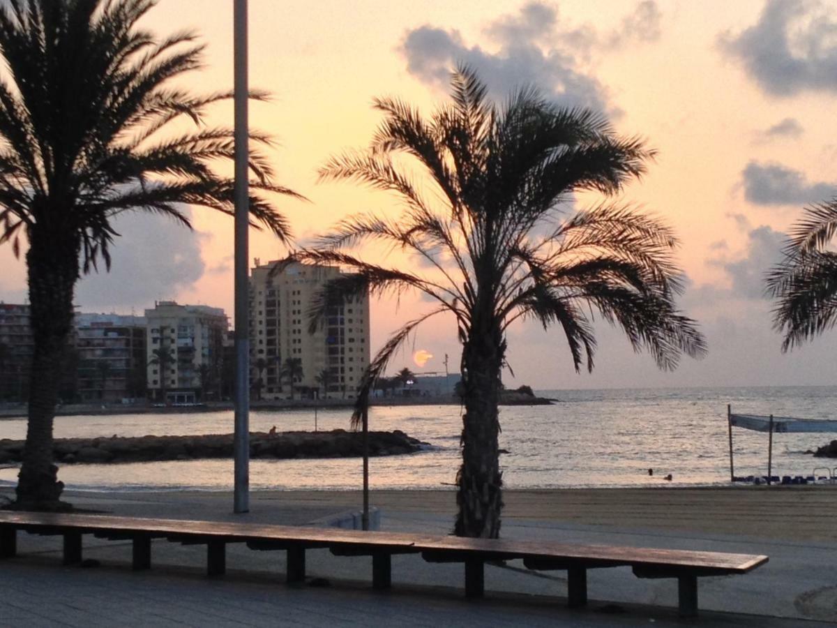 Torrevieja yakınında 23 m2 stüdyo Daire, 1 banyolu Dış mekan fotoğraf